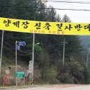 사창6리 이뉴스투데이