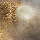 김종현 농장 이미지