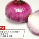 콩자반, 파 자주 먹었더니 이미지