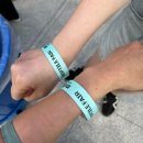 렙타일링크 | 2025 청주 K렙타일페어 방문후기 / 푸드코트 정보 / 크레스티드 게코 사진많음