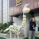 정선군문화예술회관 이미지