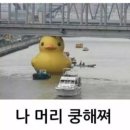 ㅠㅠ