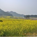 해상송림민박 이미지