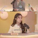 유인 뉴스엔