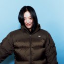 컬렉션 스포츠경향