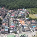 서강원농장 네이버블로그