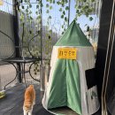 한대앞역 2번출구 광장 공영주차장 | 안산 한대앞역 화덕피자맛집 호구피자 질소커피랑 먹는 K-나폴리 퓨전피자 후기