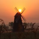 소래습지생태공원 이미지