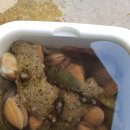 샾 펜션 이미지