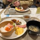Jan. Hokkaido (3) 비에이 &amp; 후라노 버스투어 ‘라쿠투어’