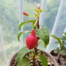 나이스앤이지