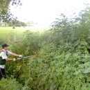 봉일천4리 이미지