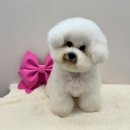 멍더랜드 이미지