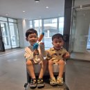 ｜속초 가족 숙소｜롯데리조트 속초 콘도룸 후기(워터파크,부대시설 가격)｜
