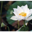 구두수선방 - 영등포구 영중로 54 | 구두수선방