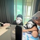 순원농장 네이버블로그