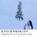 쌍송 버스정류장 공중화장실 | 삿포로 겨울여행 비에이버스투어 홋카이도랩 스탠다드 내돈내산