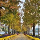 아산시-2006-014 이미지