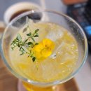 [홍대 카페] 꽃향기와 식물이 가득한 조용하고 아늑한 카페 플라워의 모든것 FLO-LOUNGE