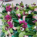 만안구청 강당 이미지