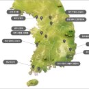 강진10호 이미지