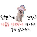 얼큰산더미감자탕 이미지