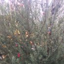 평장농장 이미지