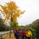 길사랑 - 평화누리길 11코스 "임진적벽길" 19km 이미지