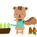 레드포멜로