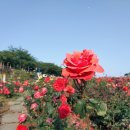 해원축산 이미지