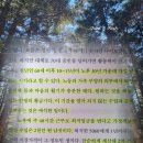 블루이코노미전략연구원 | 노후 수업 책 | 박중언 책 후기 | 앞으로 딱 10년만 망할 예정입니다 추천 리뷰 핵심 요약