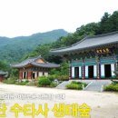 강원악기 이미지