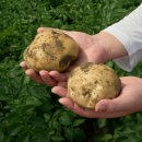 김제상회 이미지