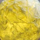 그림책 놀이터 Ⅱ 이미지