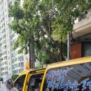 대성태권도장 이미지