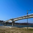 푸른강변 이미지