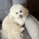 춤추는머리나라 - 김제시 동서로 141 | 25.7 이 추억은 평생 녹지 않는 캔디! ꒰՞⸝⸝ʚ̴̶̷̷ · ʚ̴̶̷̷⸝⸝՞꒱