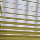 딩동댕 살롱 이미지