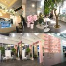 핑크메드 이미지