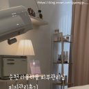 라움다움피부