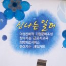 새로