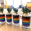 일곱빛깔무지개유치원 | 포항 유치원 식목일 찾아오는 원예체험학습 연필선인장 무지개 테라리움