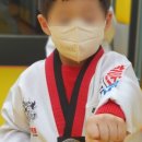 키즈 펀 태권도장 이미지