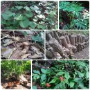 보담농장 이미지