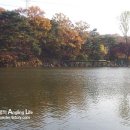 고골낚시터 이미지