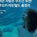 월드여행사주 이미지