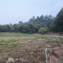 금영농장 이미지