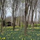 승리목장 | 4월 국내여행 당진 여행지 추천 아그로랜드 태신목장