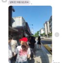 요즘 정말 햄드네요.