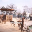 달성공원관리사무소 이미지